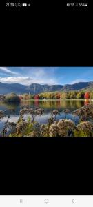 a picture of a lake with trees in the background at Le St Jean Bis in Saint-Jean-de-la-Porte