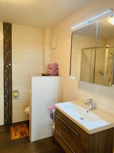 een badkamer met een wastafel, een spiegel en een toilet bij Ferienwohnung Sonnwendhof "Kellerjochblick" in Schwaz