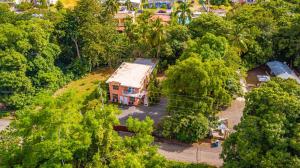 an aerial view of a house in the middle of trees at 3 Bedroom Retreat in Rincon Casa Pina Suave, Rustic with Yard & Patio in Rincon