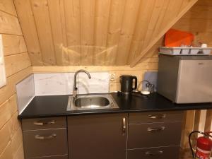 una cocina con fregadero y microondas en Zaśnieżony Domek przy Dolinie Chochołowskiej, en Witów