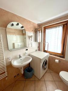 La salle de bains est pourvue d'un lavabo et d'un lave-linge. dans l'établissement Livigno Elisir Petit, à Livigno