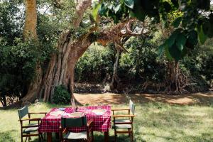 a table with a red table cloth and chairs under a tree at Olimba Mara Camp in Mara Simba