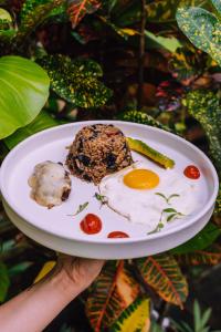 a person holding a plate with an egg and vegetables at Palmar Beach Lodge in Bocas Town