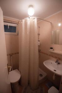 y baño con aseo y cortina de ducha. en Boglárka Apartmanház, en Mezőkövesd