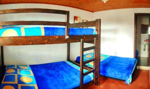 Casa San Pedro - Salento في سالنتو: سريرين بطابقين في غرفة مع ملاءات زرقاء