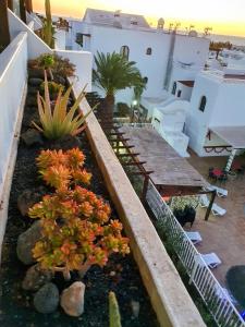 un jardín junto a un edificio con plantas en 2024 New Pools Wonderful Views AC, en Costa Teguise