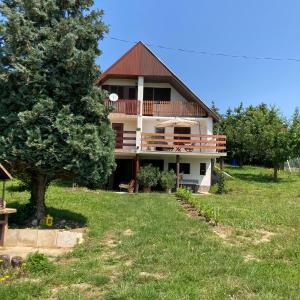 une maison sur une colline avec un arbre devant elle dans l'établissement Csabagyöngye Apartman Badacsony, à Badacsony