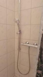 a shower with a shower head in a bathroom at Zentral gelegene, ruhige 1 Zimmer Wohnung am Park - Self Check In in Kiel