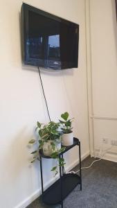 a tv hanging on a wall with plants on a stand at Zentral gelegene, ruhige 1 Zimmer Wohnung am Park - Self Check In in Kiel