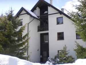 Fotografie z fotogalerie ubytování Apartment Harrachov 4 v destinaci Harrachov + 9 fotografií