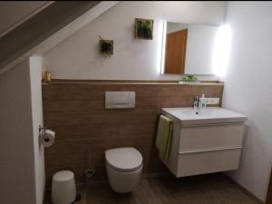uma casa de banho com um lavatório, um WC e um espelho. em Ahornweg Ferienwohnung em Gebsattel