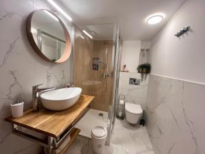 a bathroom with a sink and a shower and a toilet at Apartman LA CASA 77B in Ljubljana