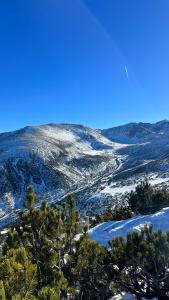 a view of a snow covered valley with trees at The Green apartment in Borovets