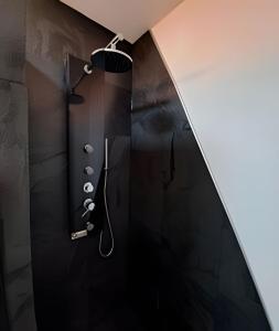 科伊艾科的住宿－Okeyloft, Coyhaique 2，带淋浴的浴室(带黑色墙壁)