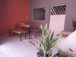 einen Tisch und eine Bank in einem Raum mit einer Pflanze in der Unterkunft Apto com Varanda Próximo da Orla in Marabá