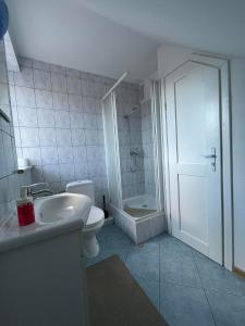 a bathroom with a shower and a toilet and a sink at Helena in Piwniczna-Zdrój