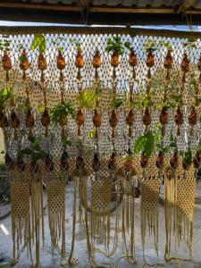 a bunch of chairs with plants on them at Jungla Bacalar in Bacalar