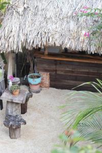 a patio with a straw hut with potted plants at Jungla Bacalar in Bacalar