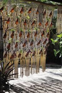 a bunch of butterflies hanging on a wall at Jungla Bacalar in Bacalar