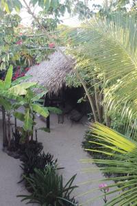 a garden with a thatch roof and some plants at Jungla Bacalar in Bacalar
