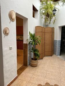 a hallway of a house with a potted plant at Casa luliche in Las Palmas de Gran Canaria