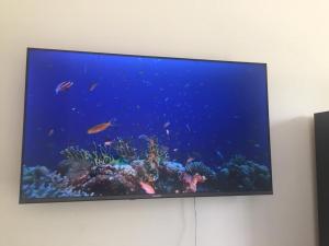 a flat screen tv on a wall with an aquarium at Artistes du Monde in Montevideo