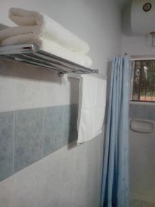 a bathroom with a towel rack and a shower at Maria's Sea View Apartments in Mousata