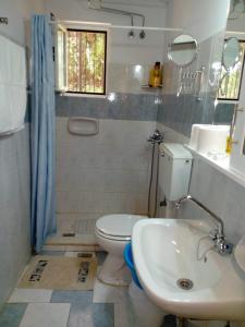 a bathroom with a toilet and a sink at Maria's Sea View Apartments in Mousata