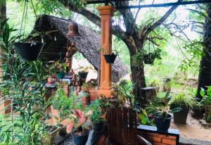 Zahrada ubytování Oleena Home Stay