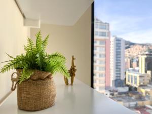 a potted plant sitting on a table in front of a window at Warm, Bright & Cozy Apartment in the best area of La Paz! in La Paz