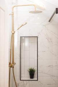 a shower with a mirror and a potted plant at Bankers Quarters - Apt 1 in Chapel en le Frith