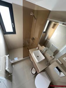 ein Bad mit einem WC, einem Waschbecken und einer Dusche in der Unterkunft Indigo Resort in Moieciu de Jos