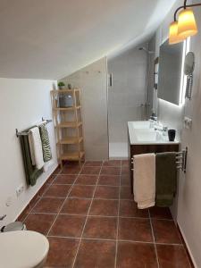 La salle de bains est pourvue d'un lavabo, de toilettes et d'une douche. dans l'établissement Casas Demi verhuurhuis en appartement, à Vélez-Blanco
