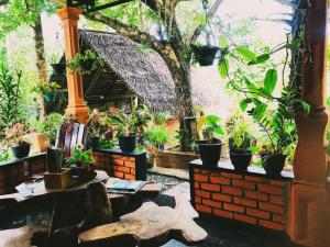 Zahrada ubytování Oleena Home Stay