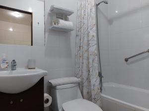 a white bathroom with a toilet and a sink at Verdevida Apart Hotel in Pucón