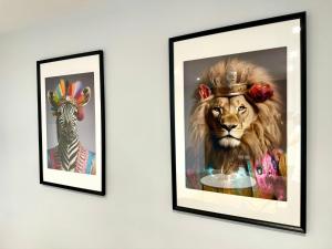 deux images encadrées d'un lion et d'un zèbre sur un mur dans l'établissement Amazing Large 3 Bedroom Apartment - Sleeps 8!, à Bournemouth