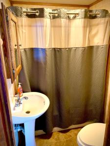 a bathroom with a shower curtain and a sink at Benzonia Rustic Resort in Benzonia