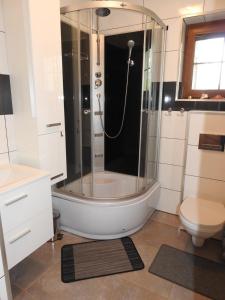 ein Bad mit einer Dusche und einem WC in der Unterkunft Przestronny Dom w gorach w sercu Karkonoszy in Preseka