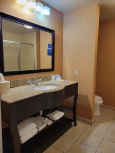 Hampton Inn & Suites Austin Cedar Park-Lakeline的一间浴室