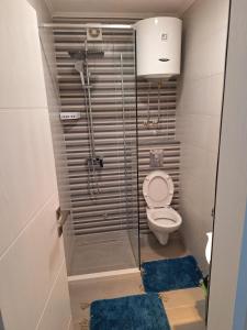 een badkamer met een douche, een toilet en blauwe tapijten bij Stan na dan Jovana in Podgorica