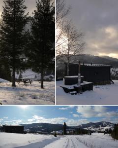 three different pictures of a tree in the snow at Chilloutzonе - Будинок з безкоштовним джакузі та кінотеатром in Slavske