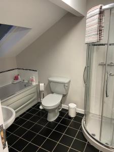 a bathroom with a toilet and a sink and a shower at Drumnieve Lodge in Kesh