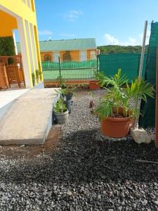 einen Hof mit Topfpflanzen und einem Zaun in der Unterkunft Jeune Tournesol (Bungalow neuf) in Sainte-Anne