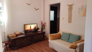 a living room with a couch and a flat screen tv at Olga's Cozy Nest , apartment in Ano Korakiana. in Áno Korakiána