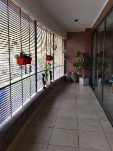 a hallway with windows with potted plants on them at Departament de categoría excelente ubicación in Mendoza
