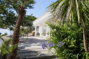 una palma di fronte a un edificio bianco di Luxury Family Amalfi Coast Villa a Piano di Sorrento