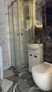 a bathroom with a shower and a toilet and a sink at Loronobeo.forest in Belgrade +9 photos