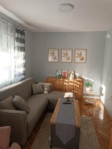 a living room with a couch and a coffee table at Nas San lower apartment in Vrdnik