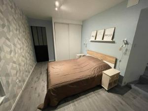 1 dormitorio con 1 cama grande en una habitación en Au Coeur de la Cité Médiévale, en Montluçon