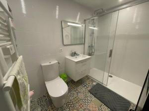 a bathroom with a toilet and a shower and a sink at Au Coeur de la Cité Médiévale in Montluçon